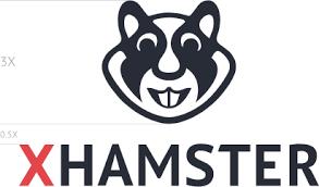 Hamster istiyorum ama ailem izin vermiyor kokar diye nasıl ikna edebilirim 🐹?