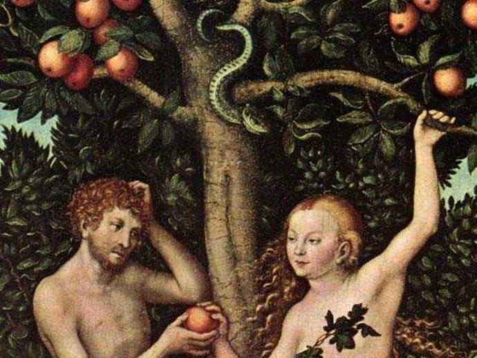 🍎🐍