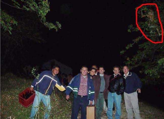 Bu fotoğrafta arkada ağaçta duran şeye cin diyorlar?