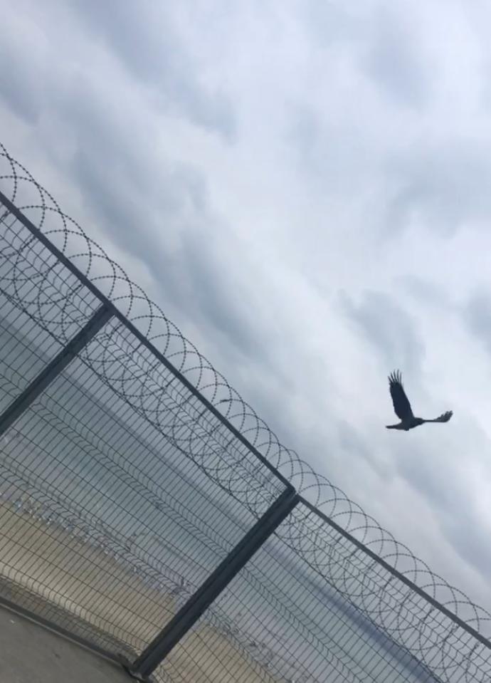 Sizce burası hangi sahil?