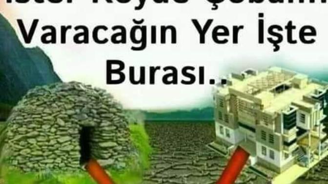 Hayatta adil olan tek şey herkesin ölecek olması değil mi sizcede?