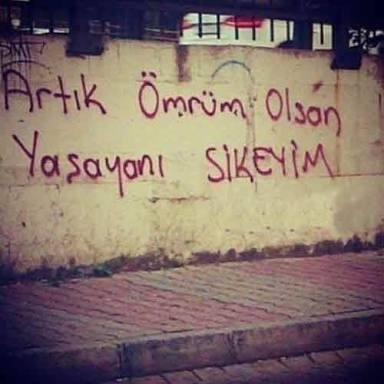 Küfürlü bio öneri?