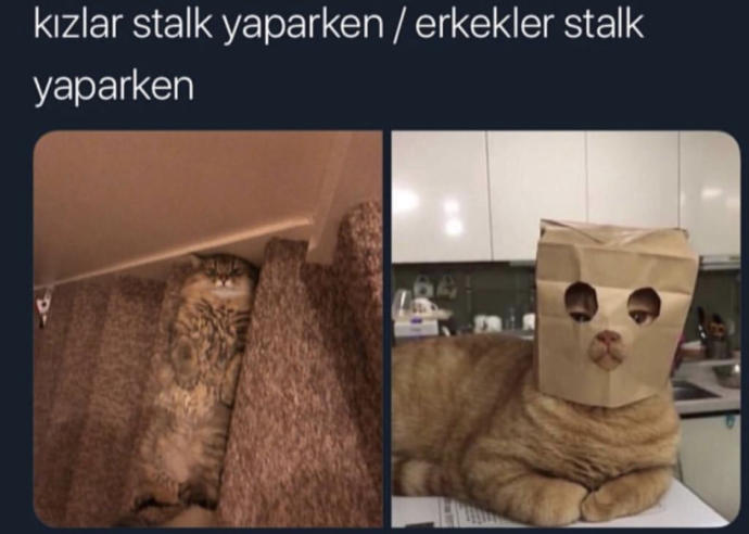 En son kimi stalkladınız profillere girip bakıyormusunuz?