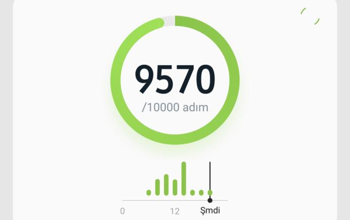 Günlük ortalama kaç adım - kaç km yol kat etmektesiniz?