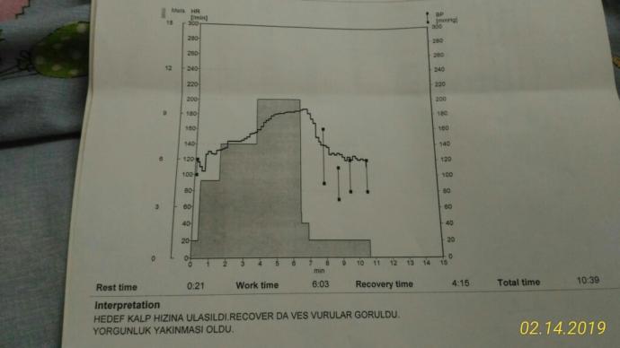 Ekg' de sıkıntı çıktı beni kardiyolojiye gönderdi doktor efor testine yolladı anlayan birisi var mı bakabilir mi sonuçlara?