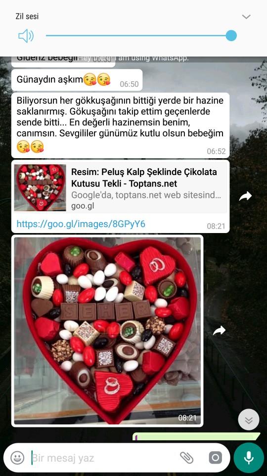 Sevgilim bana 14 subat mesajı atmış sabah bende onu kıracak birsey söyledim şimdi soguk davranıyor yardım edin mesajlar detayda?