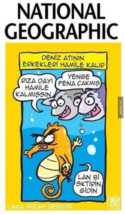 Erkekler hamile kalsaydı aşerince canları ne çekerdi?