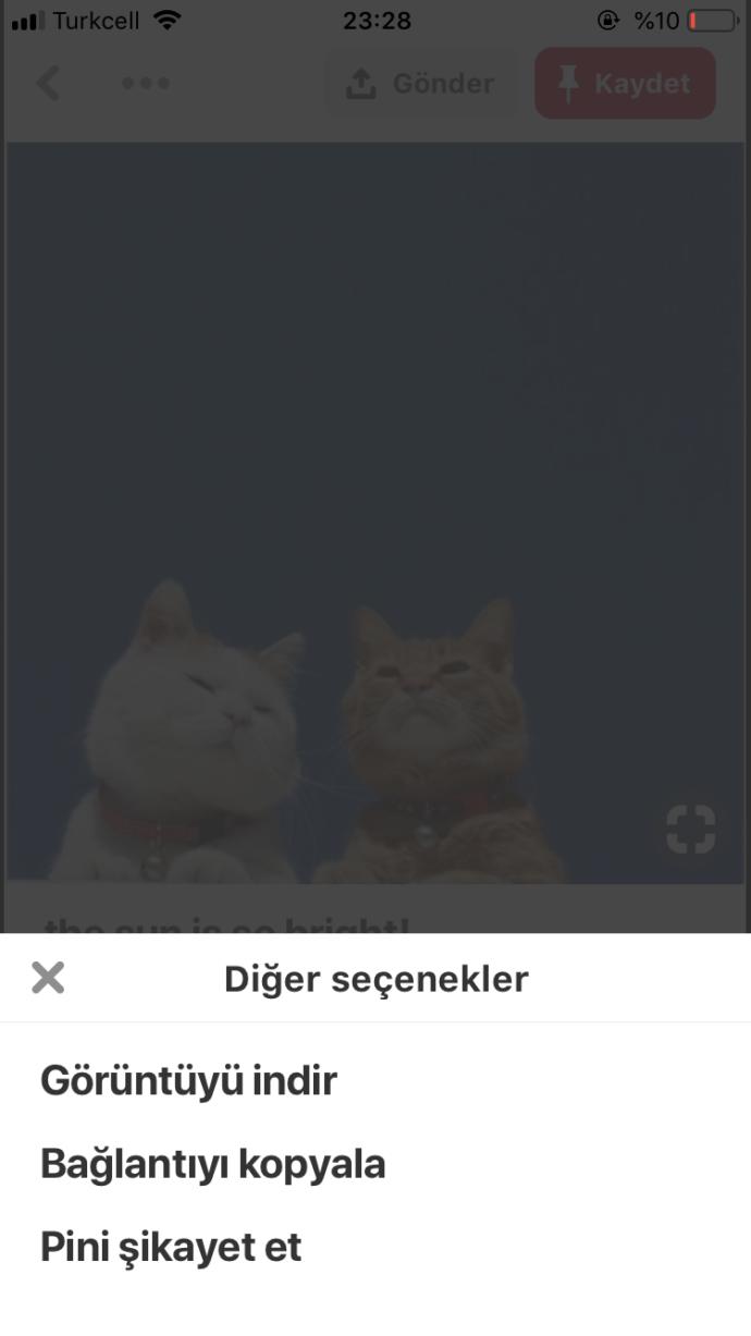 Pinterest sorunu?