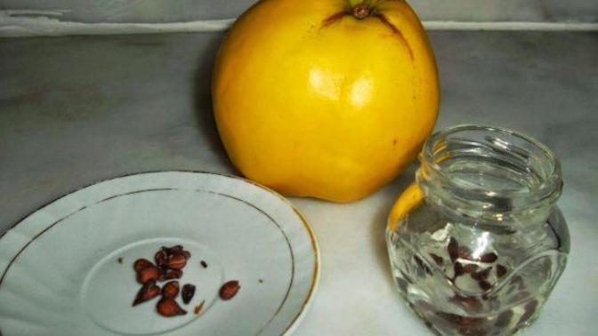 Daha önce ayva çekirdeği maskesi yaptınız mı?
