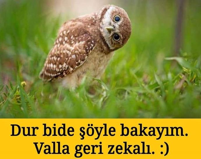 Aklıma deli sorular geliii. cevabını bilenler var mı😁😁?