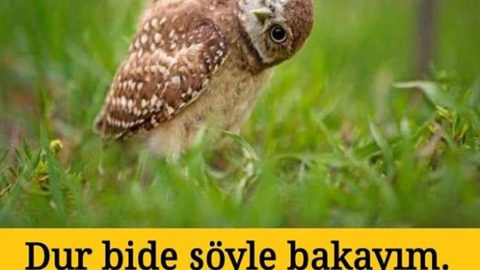 Aklıma deli sorular geliii. cevabını bilenler var mı😁😁?