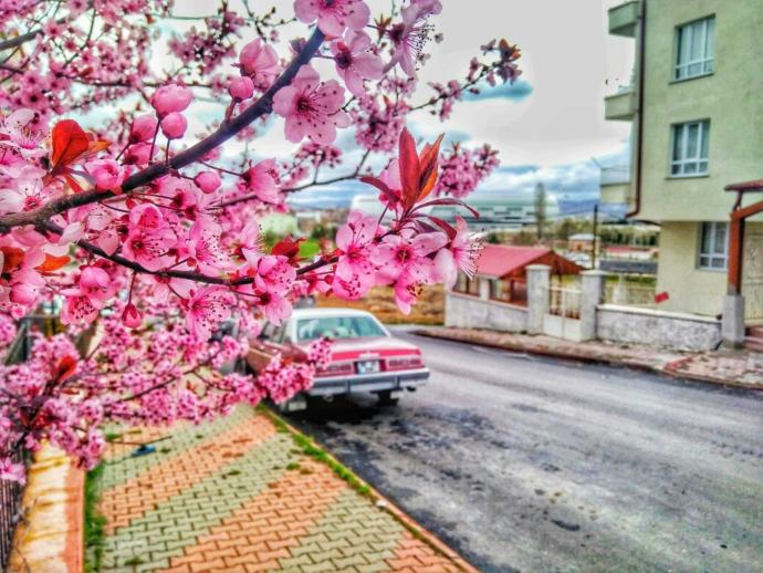 Akşam manzara fotoğrafları?