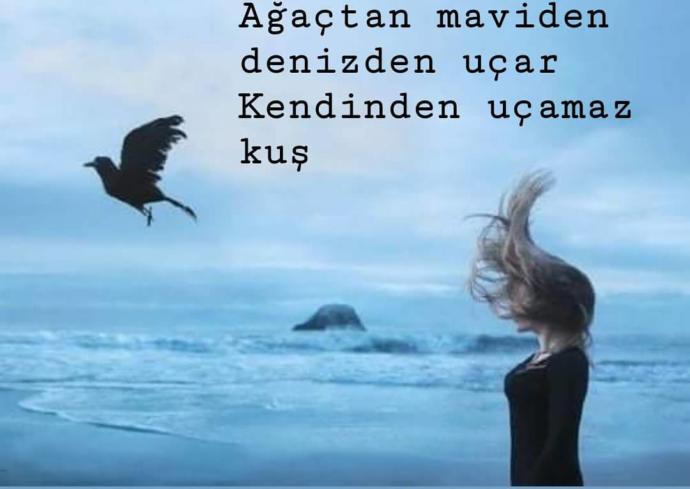 ŞİİR Sever Misiniz? en ÇOK sevdiğiniz Şair kim mEsela?