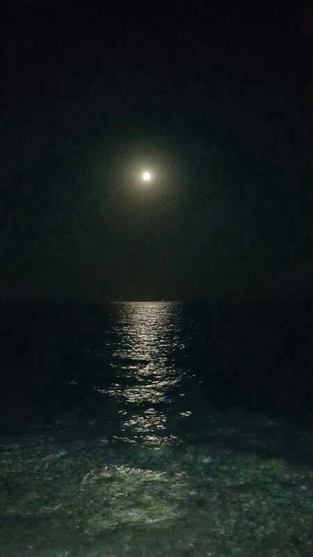 Denize gece mi girmeyi tercih edersiniz gündüz mü?