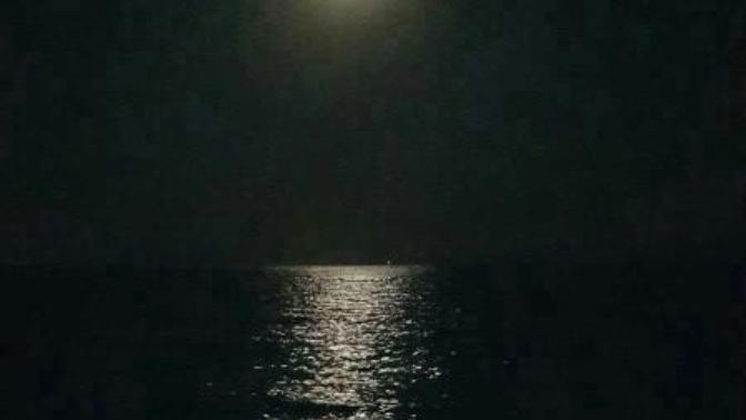 Denize gece mi girmeyi tercih edersiniz gündüz mü?