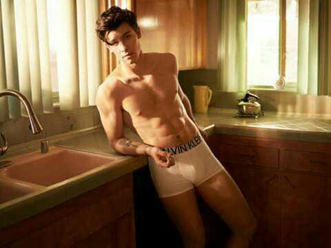 Shawn Mendes 'in bu pozlarını beğendiniz mi?