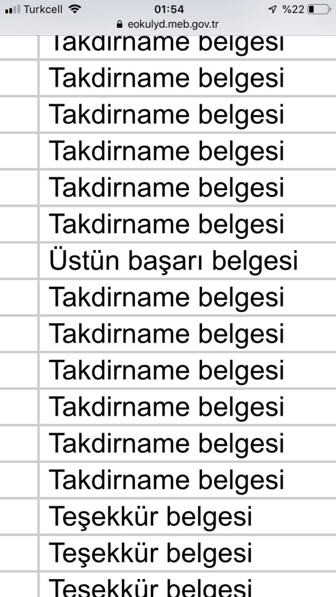 99 doğumlu kardeşimin 9. sınıf notlarını ifşalıyorum?