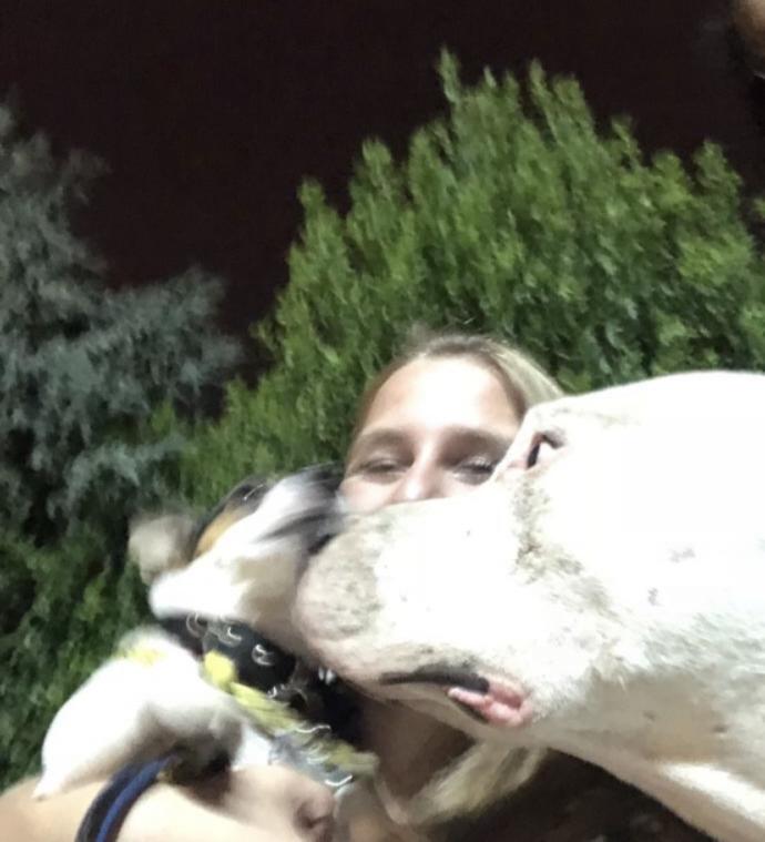 Köpek sahiplenmek istiyorum ama?