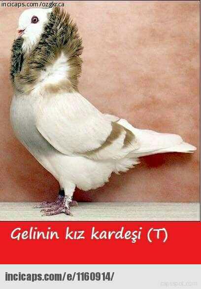 Gelinin kız kardeşi neden abartılı makyaj yapar :D?