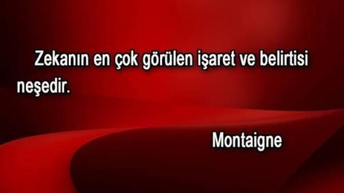 Zeki olduğunuzu düşünüyor musunuz?