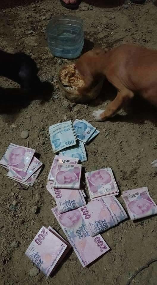 Parayı köpek yenmezken insanlarin para için köpekleşmesine ne dersiniz?