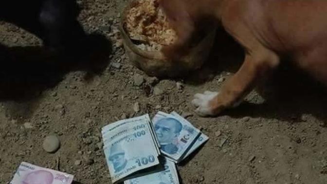 Parayı köpek yenmezken insanlarin para için köpekleşmesine ne dersiniz?