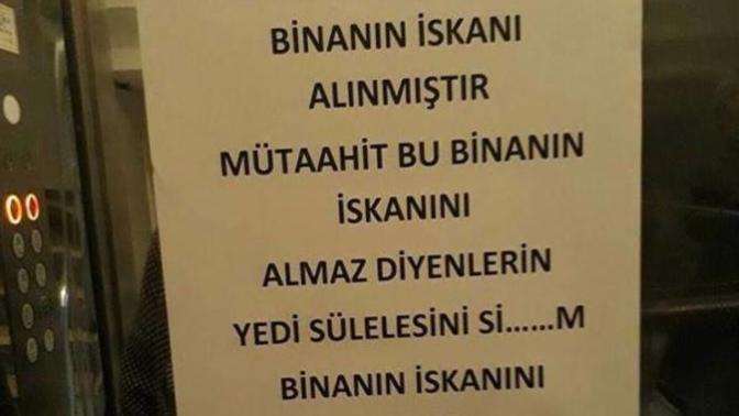 Kafanıza koyduğunuzu yapar mısınız?