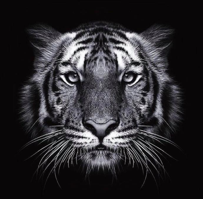 Çift işte çalışan var mı?