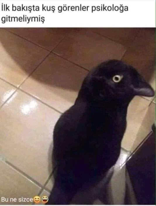 İlk bakışta ne gördün?
