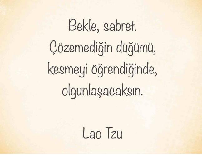Sıklıkla kullandığınız ve benimsediğiniz özlü söz/sözler var mı? Varsa nedir/nelerdir?