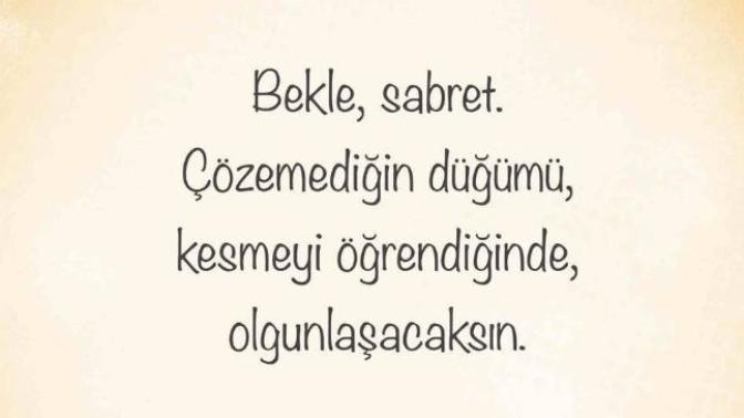 Sıklıkla kullandığınız ve benimsediğiniz özlü söz/sözler var mı? Varsa nedir/nelerdir?