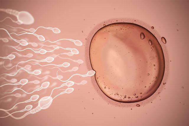 Kadın bedeni zayıf spermi yumurtaya ulaşmadan atıyor! Kaliteli bir spermden oluştuğunuz için kendinizi şanslı hissediyor musunuz?