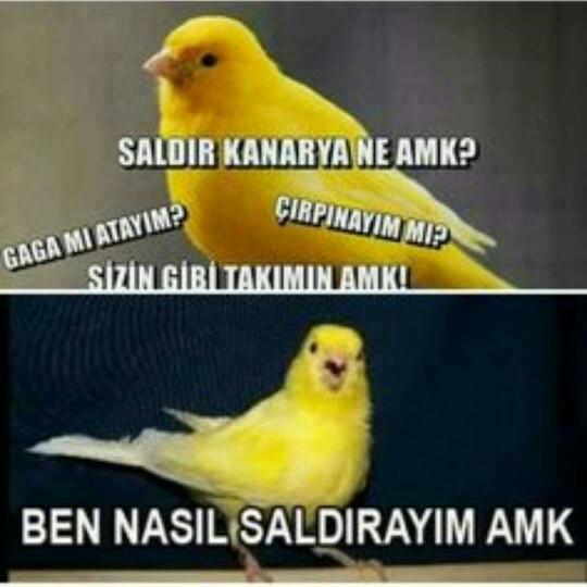 Azman'ın, Fener'e attığı goller hakkında ne düşünüyorsunuz?
