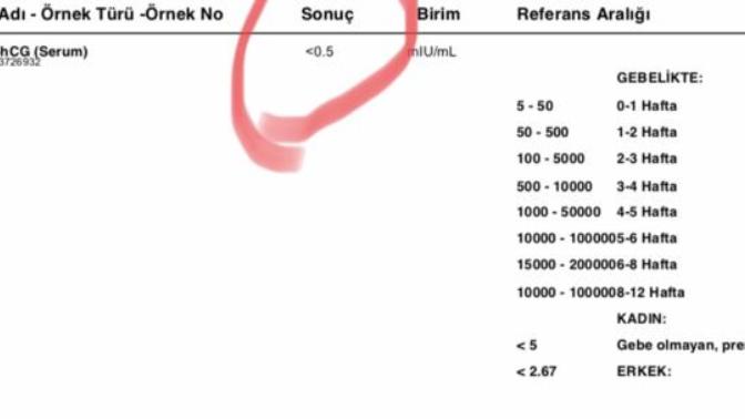 Beta Hcg testimin sonucuna göre hamilelik var mı?