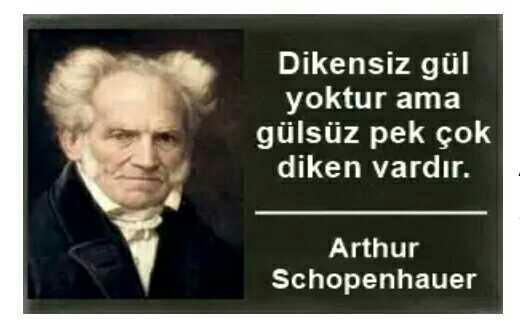 Schopenhauer; 