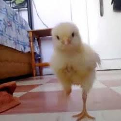 Sinirlenince nasıl oluyorsunuz?