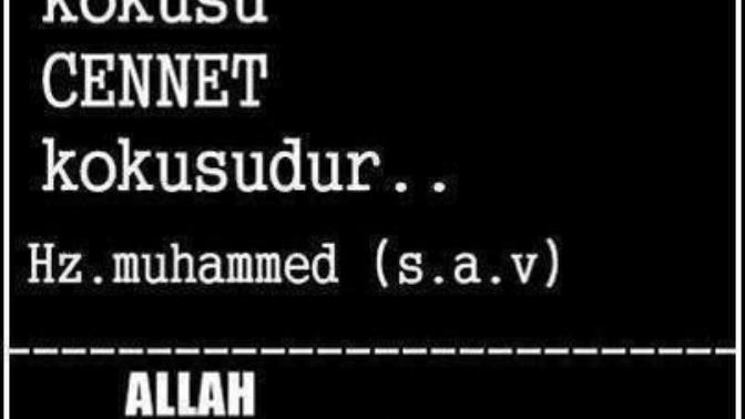Evlat acısı çeken bir anneyi/babayı nasıl teselli edebilirsiniz😔?