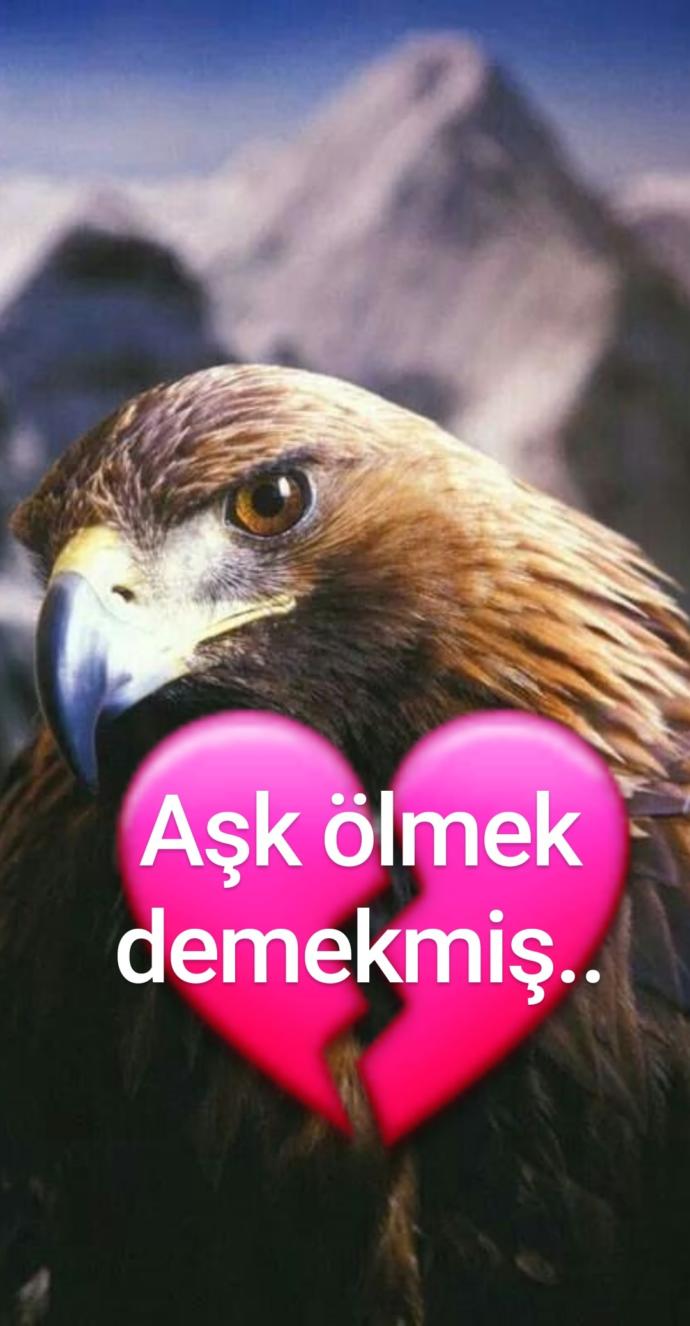 Sizce aşk laftan anlar mı anlamaz mı?
