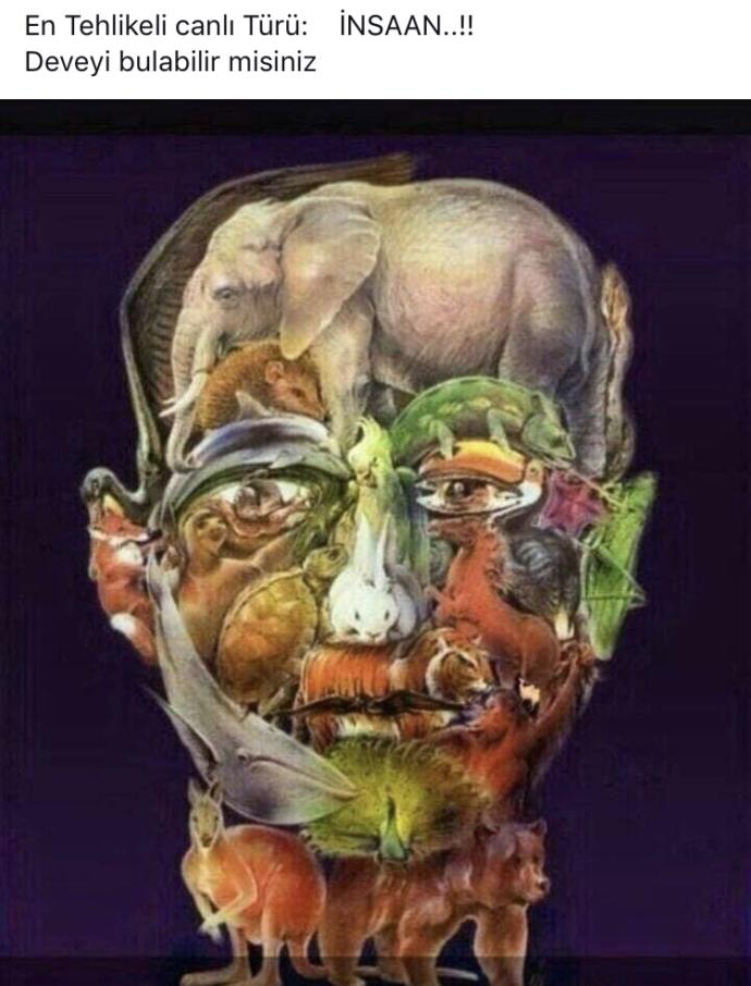 Gözüne güvenenler buyurun bakalım 🤔😊😊DEVE NERDE?