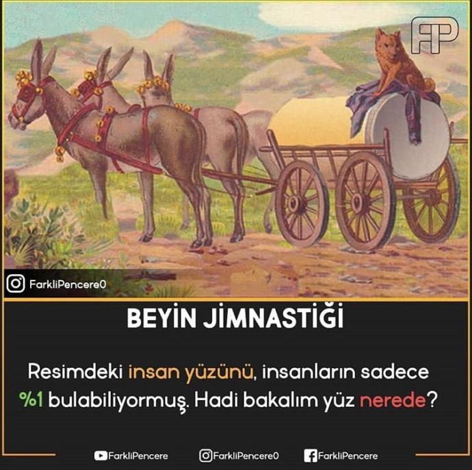 Bu resimde İnsan yüzü varmış bulabildiniz mi?