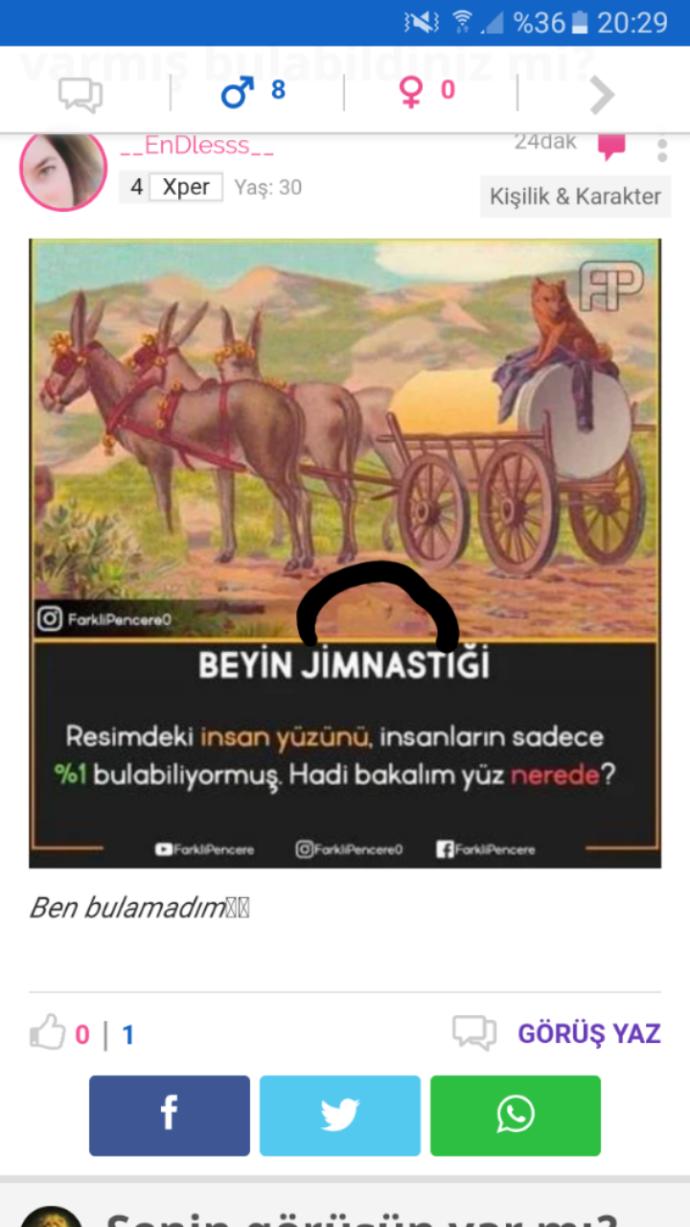 Bu resimde İnsan yüzü varmış bulabildiniz mi?