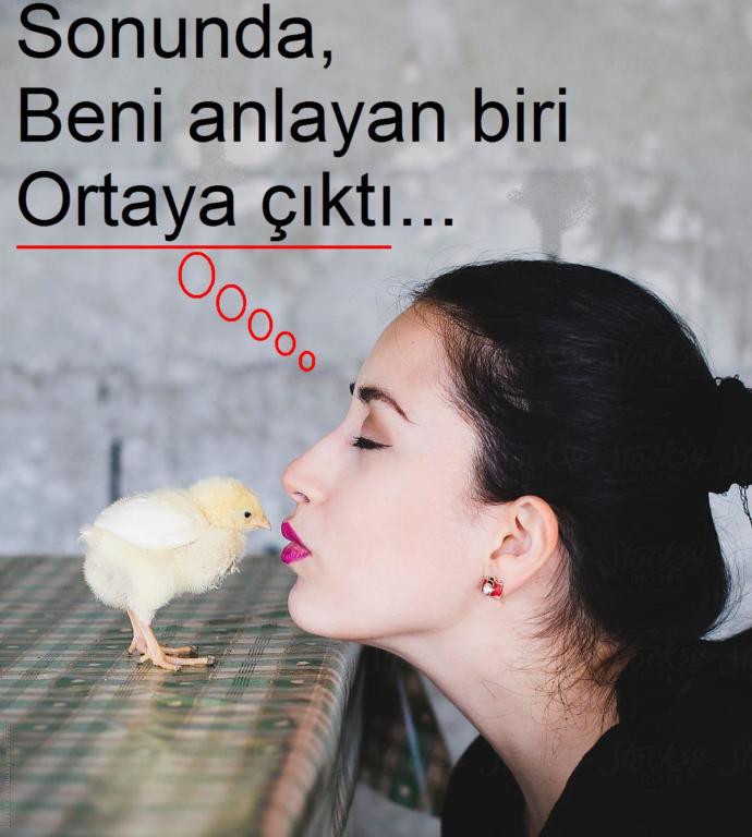 Marketten satın aldığımız yumurtanın içerisinden civciv çıkar mı buzdolabından gıdaklıma sesi geliyor da😂?