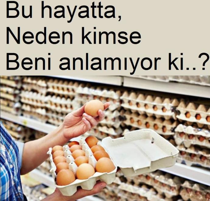 Marketten satın aldığımız yumurtanın içerisinden civciv çıkar mı buzdolabından gıdaklıma sesi geliyor da😂?