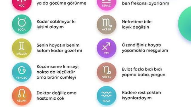 Burçların kamyon arkası yazıları vol 3 nelermiş :) :)?