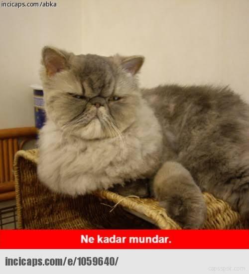 Eliran david biton yakışıklı mı sizce?