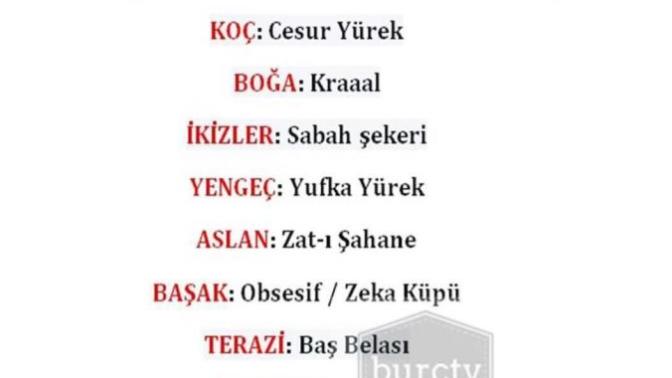Burçlara uygun lakaplar, sizin burcunuz hangisi?