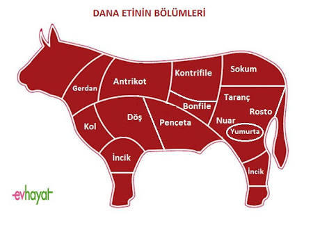 Kadınların zevk ve hassas noktaları? Bu foto ne kadar doğru?