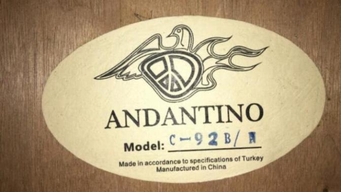 Gitar önerisi alabilirmiyim?