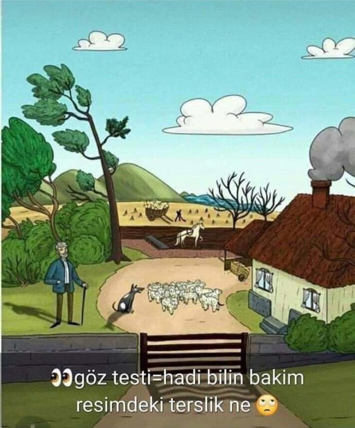 Alın size göz test i bu resimde ki anormallik nedir?