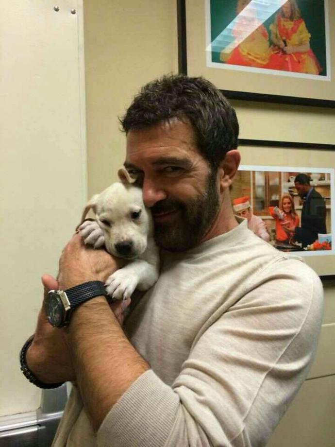 Antonio Banderas'ın gay filmlerinde oynamış olması hakkında ne düşünüyorsunuz?